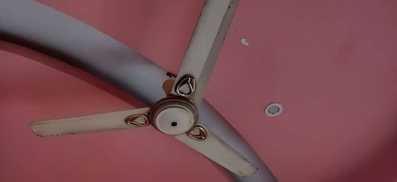 Full size fans in new condition 1