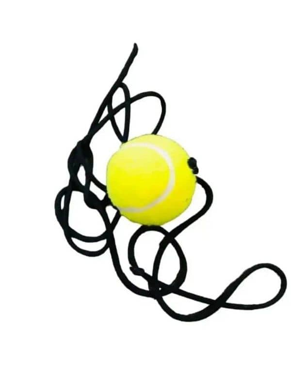 Cricket Hanging Ball For Training 0