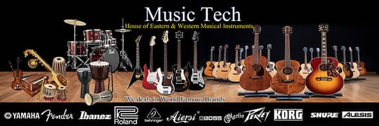 Sales Executive Musical Instruments