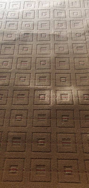 carpet 1