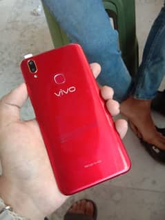 vivo