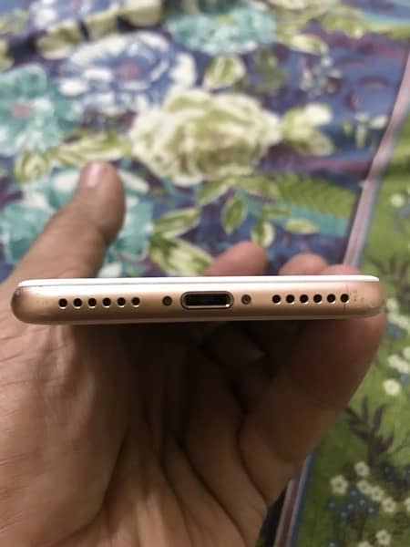 iphone 8 gold 4