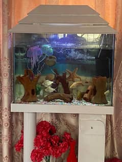 fish aquarium new condition hai