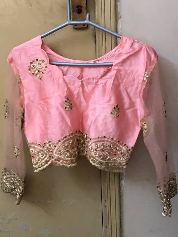 Embroidered Lehanga 1