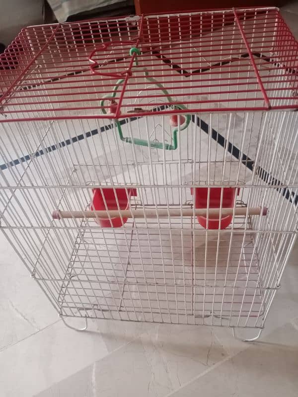 small cage 1