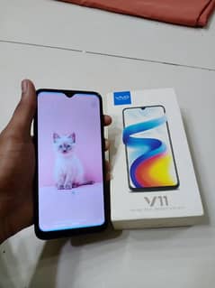 vivo