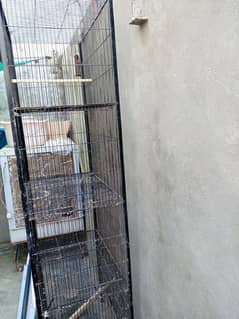 cage for parrots