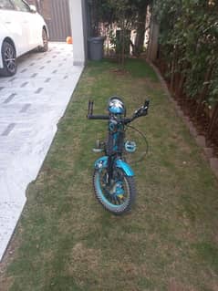 kids cycle 12 inch