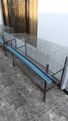 Layer Hen Cage / Chicken Cage / Layer Cage