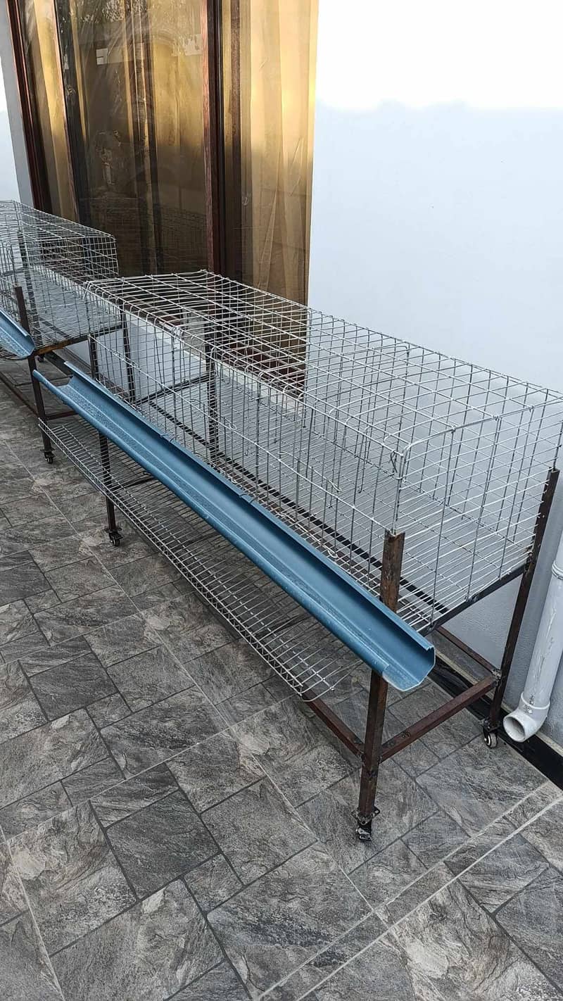 Layer Hen Cage / Chicken Cage / Layer Cage 0