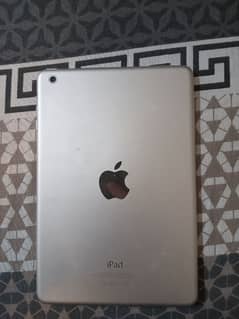 apple ipad mini (read add)