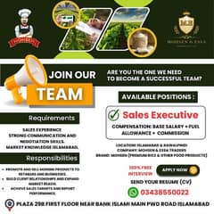 Sales Executive Jobs Available