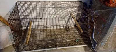 big cage for raw and other exotics birds