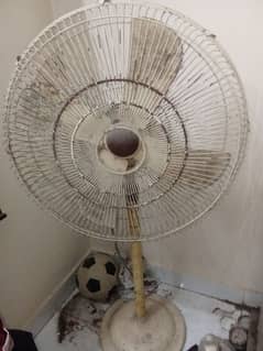 fan