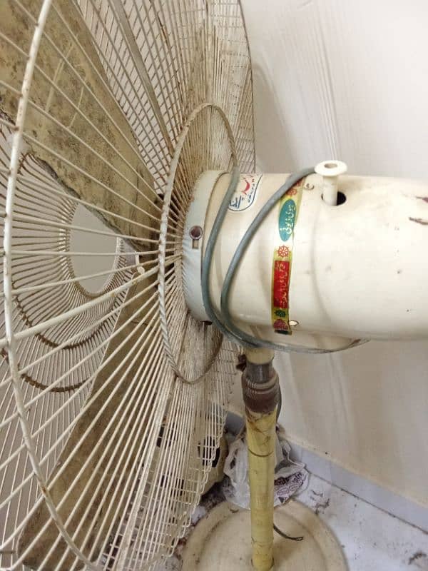 fan for sell 1