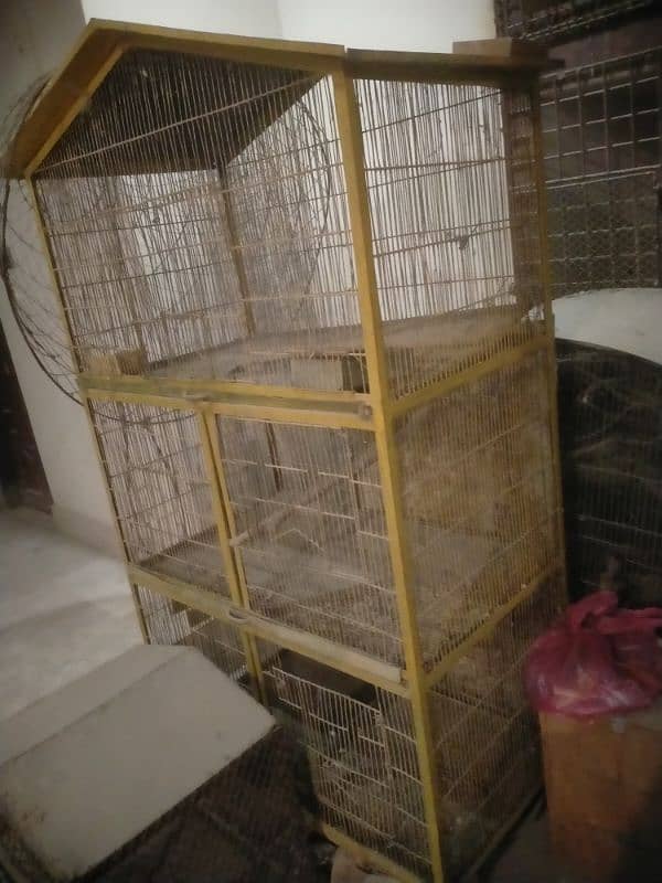 Raw Alexander grey parrot cages for sale 6