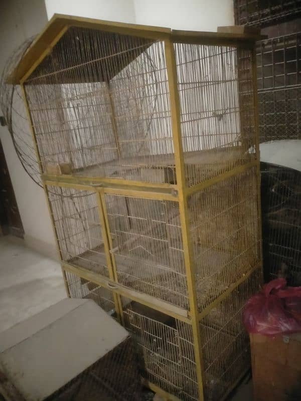 Raw Alexander grey parrot cages for sale 7