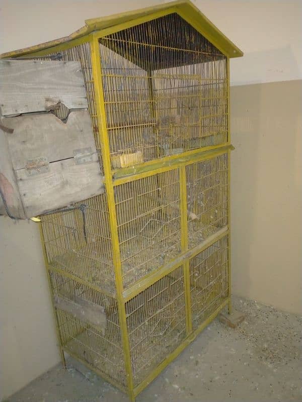 Raw Alexander grey parrot cages for sale 12