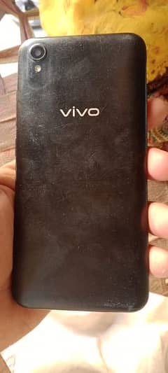 Vivo