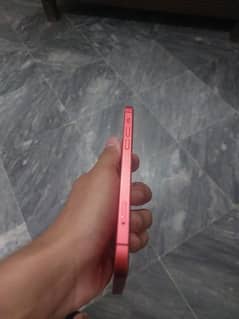 Iphone 12 Dual pta approved