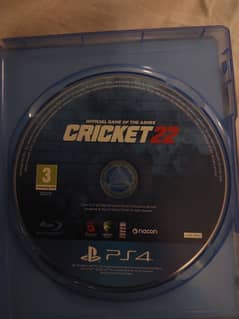 cricket