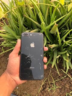 iphone8 plus