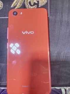 vivo