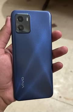 vivo