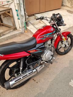 yb 125Z dx all ok lush condition punjab number