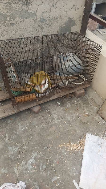 4 portion cage for sale 2