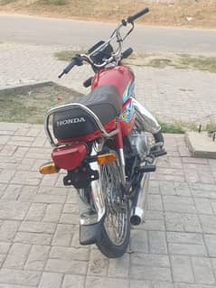 Honda CD 70 cc 2024