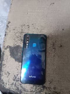 Vivo