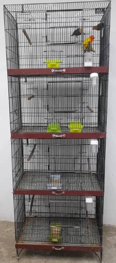 4 portion cage