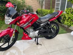 Yamaha YBR 125 only 9500km driven like new bike