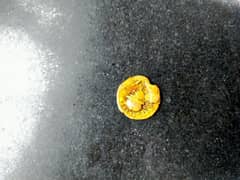 antique coin for sale 0