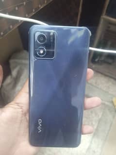 vivo