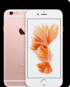 I phone 6 Pta approved urgent need