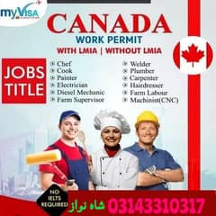 Jobs in Canada, Canada Jobs , job , visa , Staff , vacancies Available