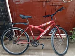 Morgan bicycle | used | tyre 26x2.125