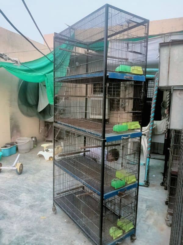 Bird cages for sale vary low Rate 1