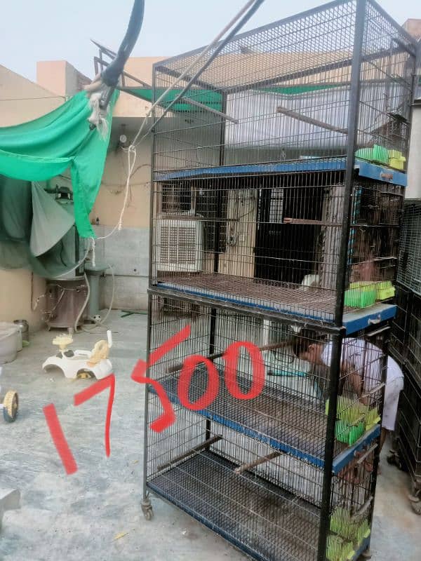 Bird cages for sale vary low Rate 2