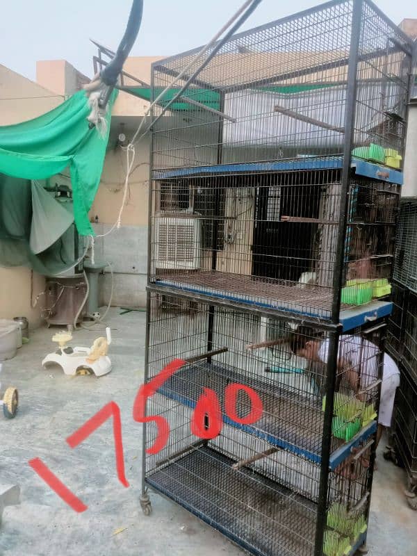 Bird cages for sale vary low Rate 3