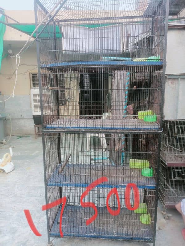 Bird cages for sale vary low Rate 4