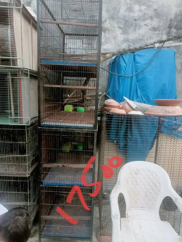 Bird cages for sale vary low Rate 6