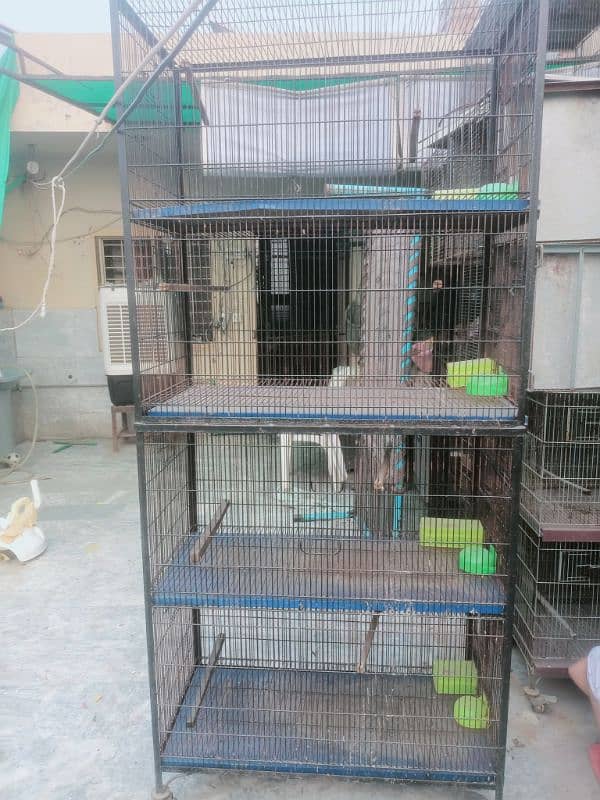 Bird cages for sale vary low Rate 7