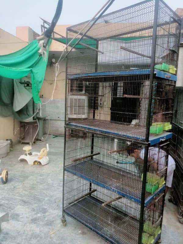 Bird cages for sale vary low Rate 8