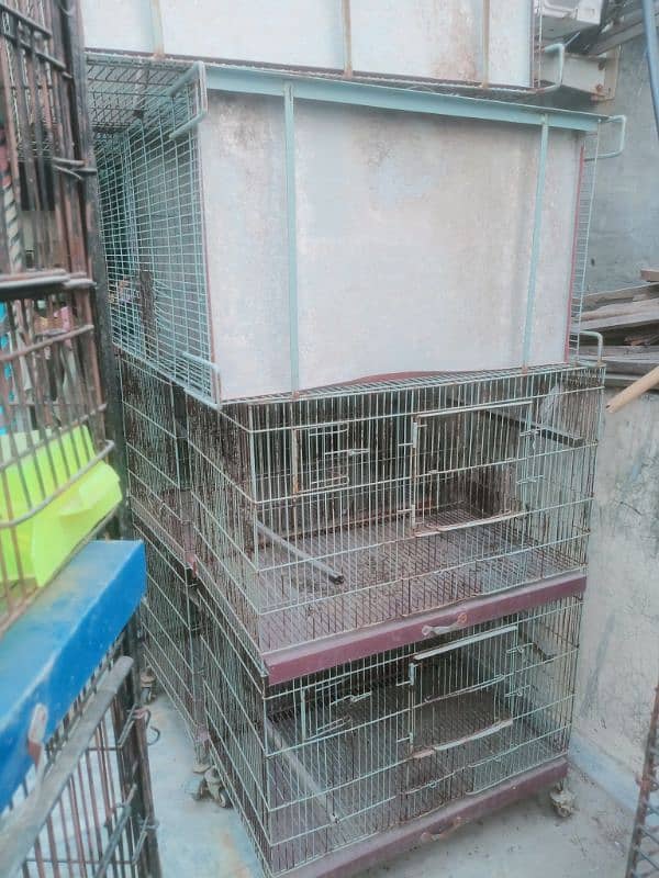 Bird cages for sale vary low Rate 9