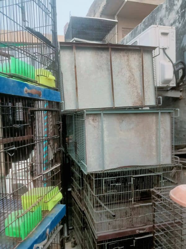 Bird cages for sale vary low Rate 10