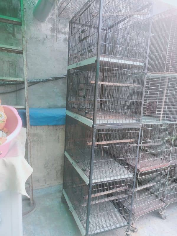 Bird cages for sale vary low Rate 13