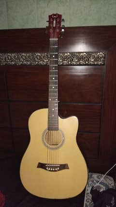 Professional Accoustic Guitar